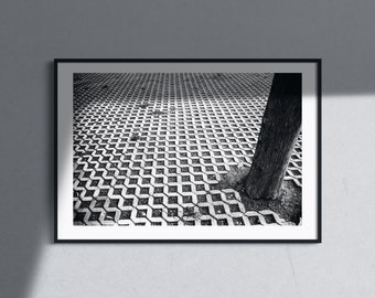 Black and White Tree Print – Minimalist Urban Photography