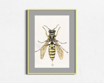 Ilustración dibujada a mano de una avispa chaqueta amarilla con acuarela y tinta.