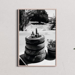 No. 15 &quot;Gas Station Cacti&quot; - Physical Fine Art Photography Print - black and white print, cactus, street, Aegean Islands, Greece, poster