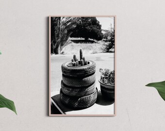 Gas Station Cacti Photography Print – Aegean Islands Black and White Art