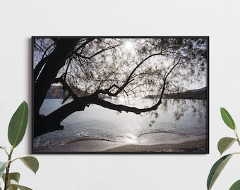 Wydruk fotografii plaży na Morzu Egejskim – wyspa Leros, Grecja