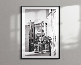 Wydruk fotografii kaktusa w Atenach – czarno-biała sztuka ogrodowa w mieście