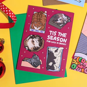 Esta es la temporada de gatos en cajas, tarjeta navideña con meme de gato, divertida tarjeta navideña con gato, triste tarjeta navideña con meme de gato, divertida tarjeta navideña con gato