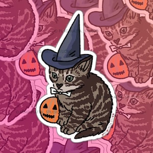 Simpatica strega di Halloween Adesivo meme gatto zucca – Adesivo meme gatto, meme gatto kawaii, adesivi per bottiglia d'acqua gatto, simpatici adesivi per laptop gatto,