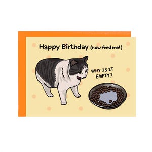 Happy birthday now feed me – funny birthday fat cat, funny birthday cat card, why it's empty cat meme, meme birthday card, birthday cat food