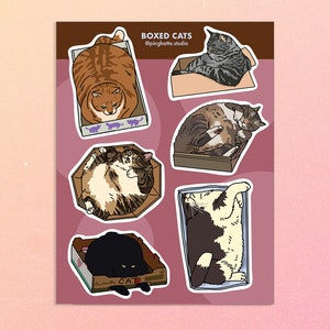Feuille d'autocollants Cats in Boxes – boîtes en carton de gros chats, meme chat chonky, obsession des boîtes de chat, comportement de chat rigolo, meme chat excentrique,