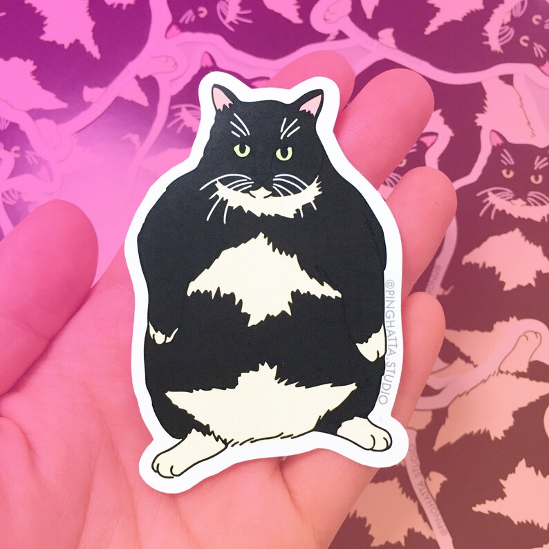 Op de afbeelding: Een sticker van een zwart-witte kat met een witte vlek op zijn borst. De kat zit met gekruiste poten en heeft een serieuze uitdrukking op zijn gezicht. De sticker is op een roze achtergrond met de tekst "@PINGHATTA_STUDIO" in de rechterbenedenhoek.