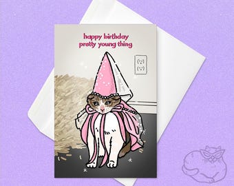 Feliz cumpleaños, linda jovencita: meme de gato hada rosa, cumpleaños de gato princesa, meme de gato llorando, meme, tarjeta de gato bonito, gato diva de cumpleaños