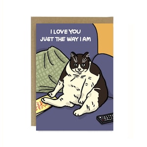 Ik hou van je zoals ik ben grappige kattenmemekaart - fat cat tv-afstandsbediening, grappige kattenverjaardagskaart, grappige valentijnskattenkaart, kattenliefdeskaart