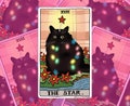 Tarot Cat The Star cat meme Sticker – Cat Meme Sticker, sad cat meme, cat water bottle stickers, meme laptop stickers, tarot star sticker product logo