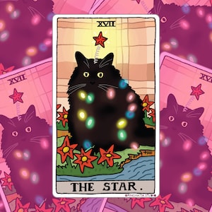Tarot Katze der Stern Aufkleber - Katzen Meme Aufkleber, traurige Katze Mem, Katzen Wasserflasche Aufkleber, Mem Laptop Aufkleber, Tarot Stern Aufkleber