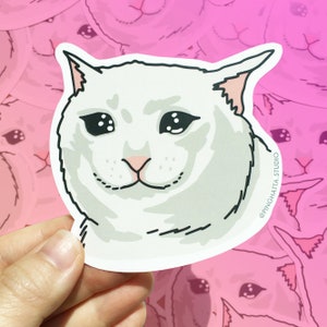Pegatina de meme de gato triste - Pegatina de meme de gato, meme de gato triste, pegatinas de botellas de agua de gato, pegatinas de computadora portátil de meme de gato, pegatinas de vinilo de meme de gato