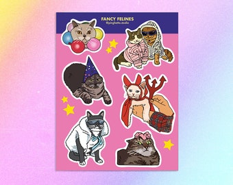 Birthday Party Cat Meme Sticker sheet – Cat meme sticker, cursed cat sticker, rave cat, crying cat, sad cat meme cat sticker, wizard cat