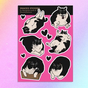Stickervel Snacks x Chonky Goods – sticker dikke kattenliefhebber, grappige memesticker, cool kattenbrood, zwart-witte kat, smokingkat, stijlvolle dikke kat