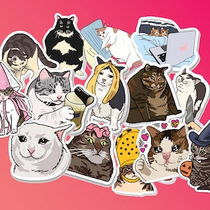Set di 14 adesivi con i migliori meme sui gatti: meme sul gatto triste, meme sul gatto maledetto, adesivo maledetto, gatto papa, gatto banana, gatti chky, adesivo con meme sul gatto triste