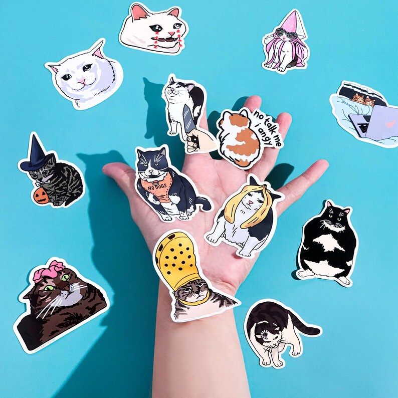 Pu&ograve; includere: Una collezione di adesivi a tema gatto che presentano vari meme di Internet popolari. Gli adesivi includono immagini di gatti che indossano cappelli, tengono coltelli e fanno facce divertenti. Gli adesivi sono stampati su carta bianca e hanno una finitura lucida.