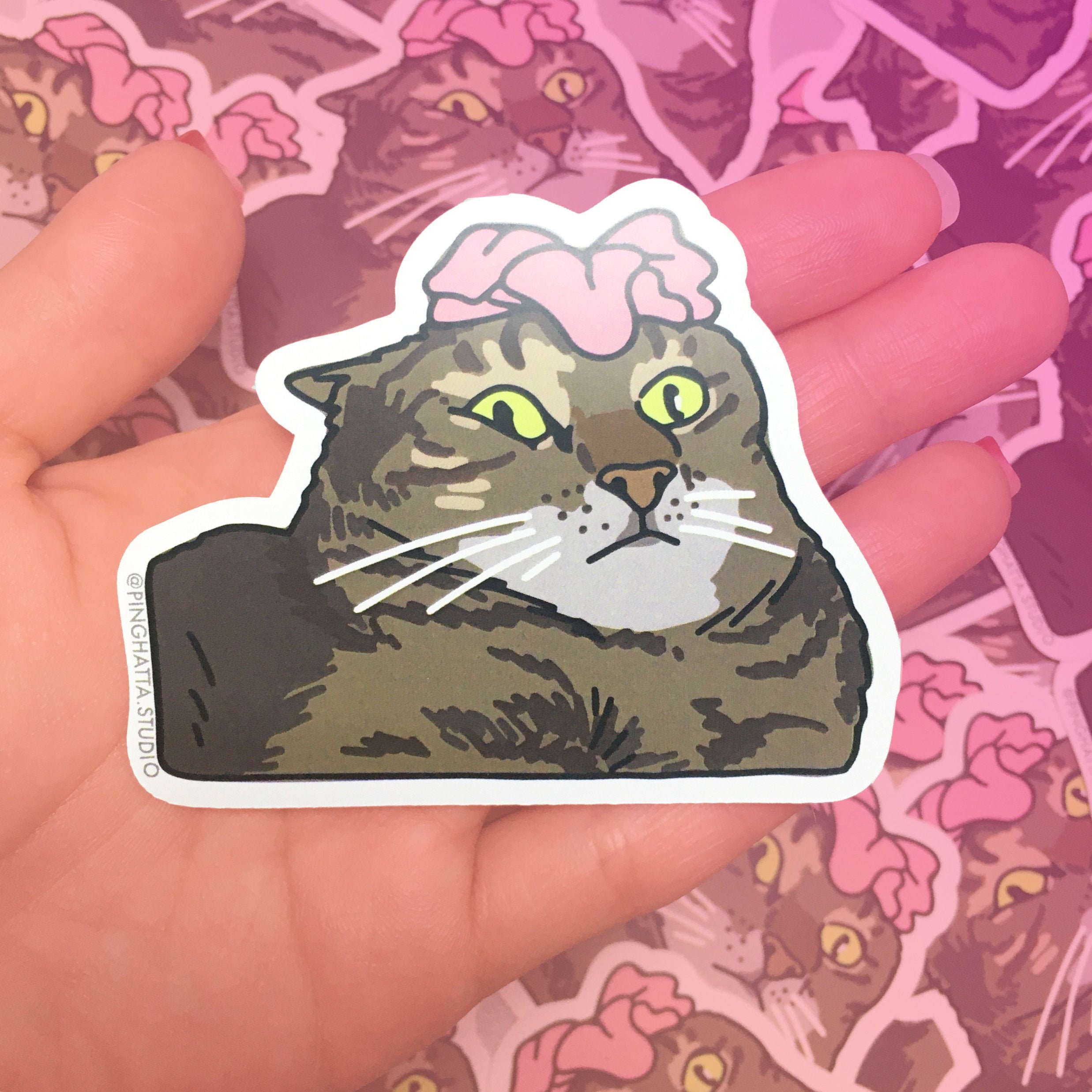 Cat Wearing a Pink Croc 3 Vinyl Sticker and Photo Print 