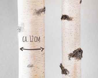 Birch trunk up to 3 meters including adjustable foot, diameter approx. 12 cm