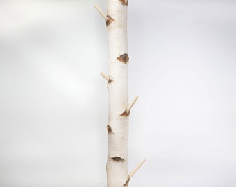 Birch trunk wardrobe including adjustable foot