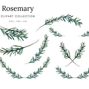 Rozemarijnkrans aquarel clipart - handgetekende frames en veren in hoogwaardig png-formaat voor doe-het-zelfprojecten!