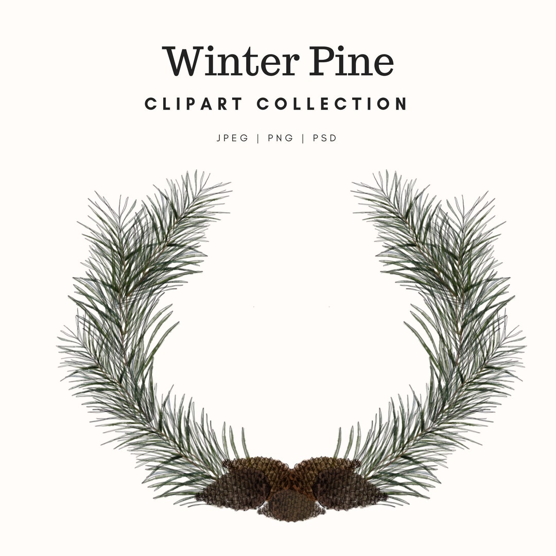 Pine Cone Graphics Clipart Set. Commercial Use. Wreaths and Frames ...