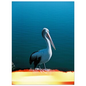 Stillness on Fire, Pelican Light Leak, Poster di fotografia artistica australiana, carta opaca di alta qualità