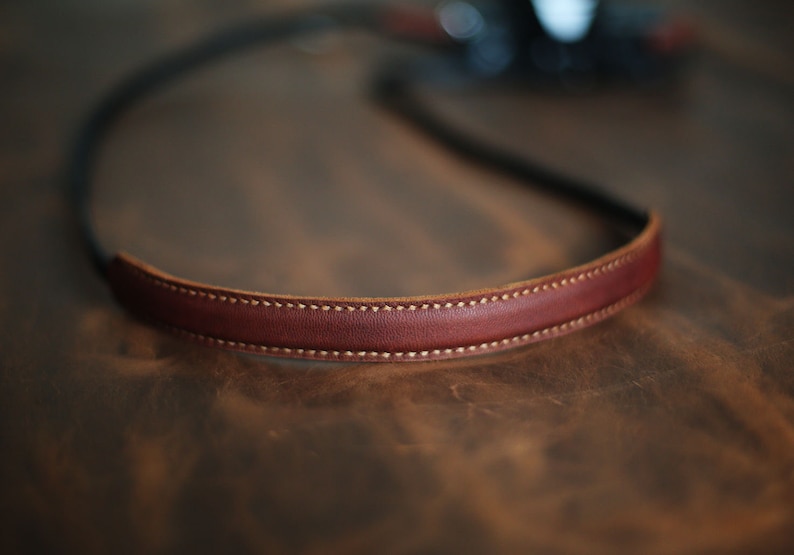 May include: A brown leather camera strap with white stitching.