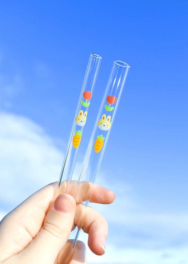 DEFECT glass straws cute straws reusable straws Etsy