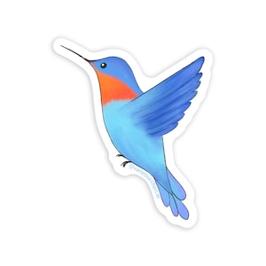 Blue Hummingbird Sticker, Cute Bird Vinyl Decal for Laptop, Water Bottle, Nature Wildlife Art