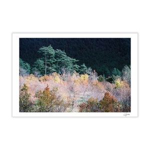 Cartolina naturale, Cartolina fotografica reale, Cartolina 4x6