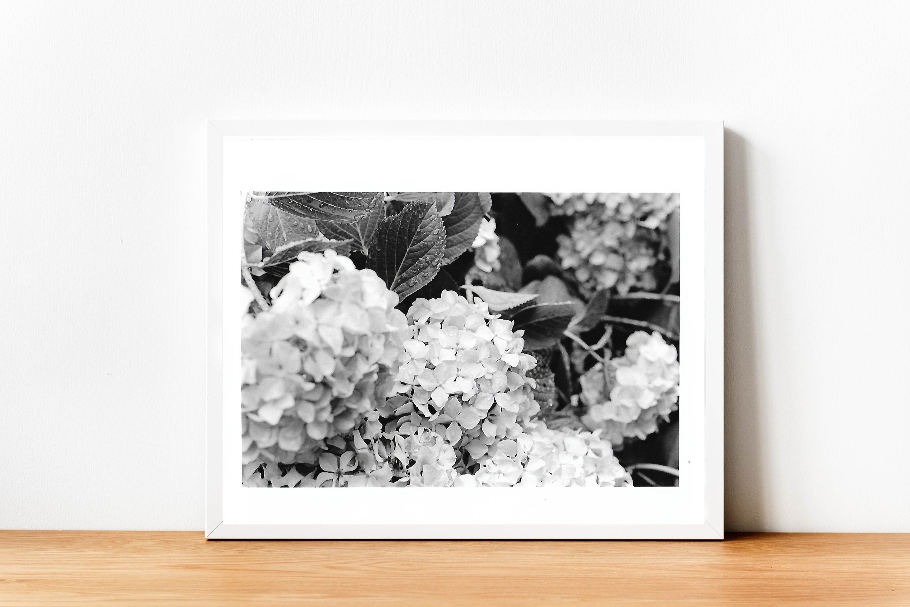 Fine Art Photography Black and White Art Wall Art Landscape | Etsy