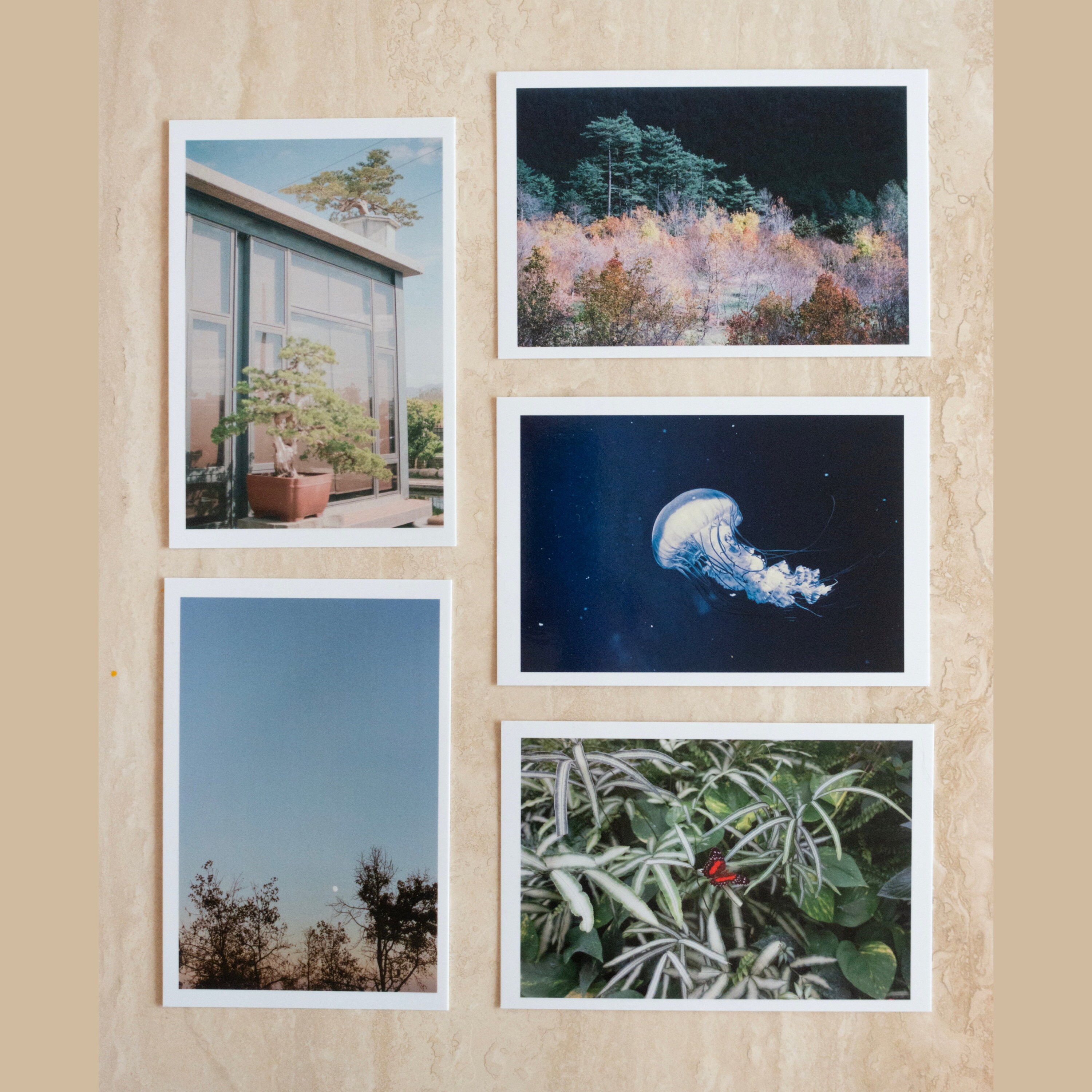 Set of 5 Photo Postcards, Fine Art Photography Prints, Photography Prints