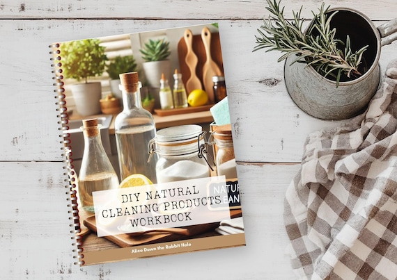 DIY Natural Cleaning Products Workbook | Eco-Friendly Recipes for Home Use or Workshops | Printable Green Living PDF