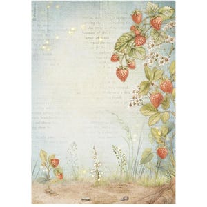 Papier de riz A4 Stamperia DFSA 41014