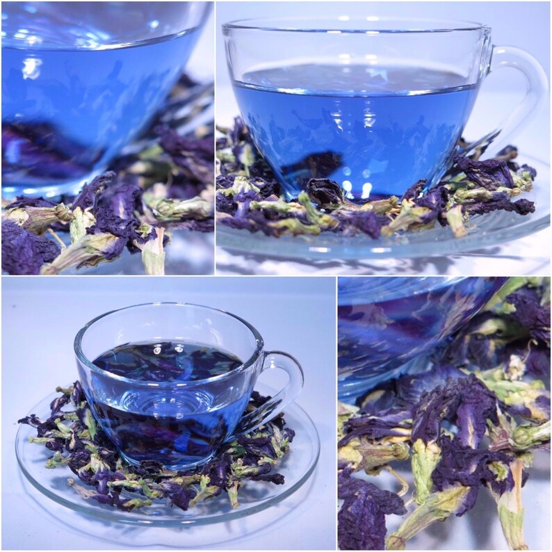 Thai Dried Butterfly Pea Tea Flower Organic Natural Herbal Etsy