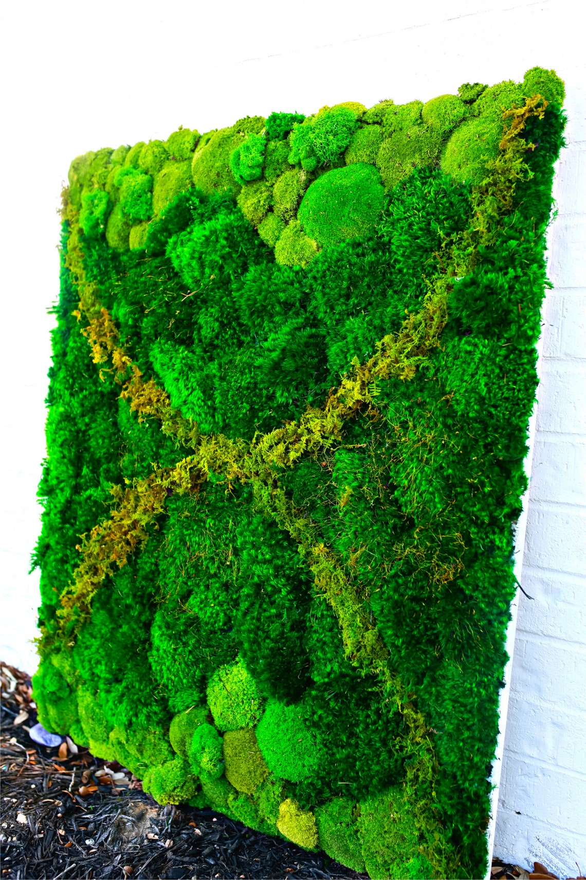 Preserved Moss Wall Art Real Preserved Moss With Zero Etsy