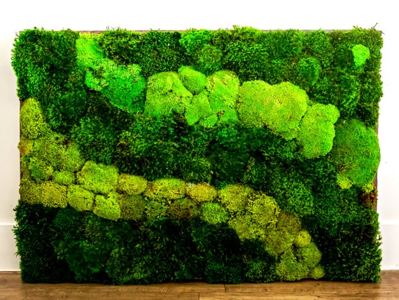 Preserved Mood and Pillow Moss Wall Art Decor