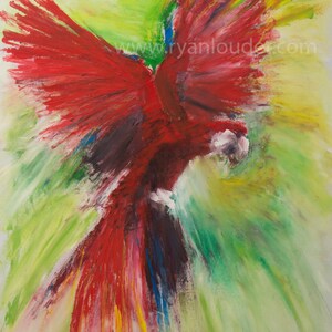 Painting Painting Parrot Painting Original, Birds, Oil On Canvas, exotic bird painting, parrot art, parrot Painting  - Painting Wall Art