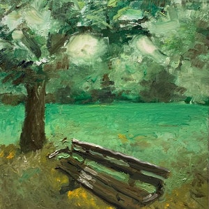 Puede incluir: Un banco de madera en un parque, bajo un gran árbol verde. El banco está hecho de madera marrón oscura con un asiento de madera marrón claro. El fondo es un campo verde con un gran árbol verde en el fondo.