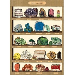 Póster de Cavallini – Mineralogía – Impresión de pared vintage: ¡elija entre varios diseños!