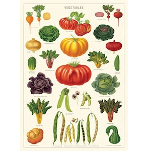 Hoge kwaliteit Cavallini-poster - Moestuin - Vintage muurafdruk - Kies uit meerdere ontwerpen!