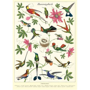Póster de Cavallini: Colibríes. Impresión de pared vintage. ¡Elija entre varios diseños!