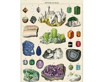 Cavallini Poster – Mineralogie - Vintage Wall Print 50x70cm - 20x28" Large Poster - Choose from over 80 designs!