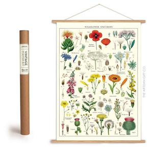 Wildflowers Poster, Vintage Cavallini Various Flowers Print in a Hanger Frame