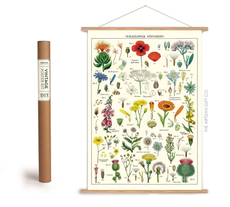Wildflowers Poster, Vintage Cavallini Various Flowers Print in a Hanger Frame