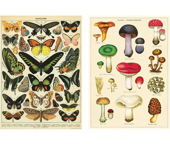 All Cavallini Papers & Co. – Stocklist