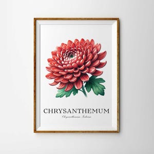 Chrysanthemum Flower Art Print | Hand Drawn Floral Print | Chrysanthemum Print | Chrysanthemum Indicum Poster