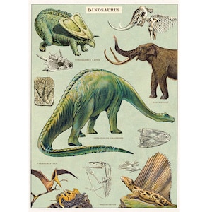 Dinosaurs Vintage Cavallini High Quality Archival Poster – Vintage Wall Print - Choose from Multiple Designs!