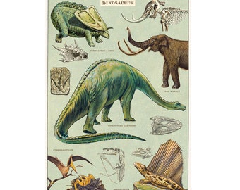 Cavallini Dinosaurs Poster | Vintage Dinosaur Wall Chart 50x70cm