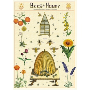 Bees and Honey Poster, Vintage Cavallini Various Honey related items Print